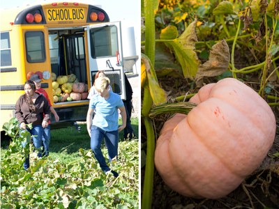 Williston High School FFA Pink Pumpkin Project