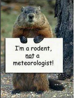 Groundhog day