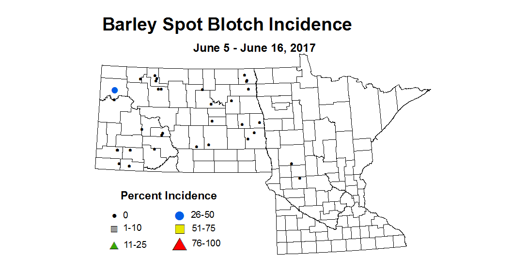 barley SBI 6 5 6 16