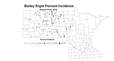 ergot