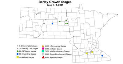 growthstage