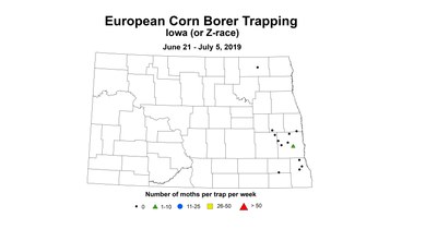 corn ecbz