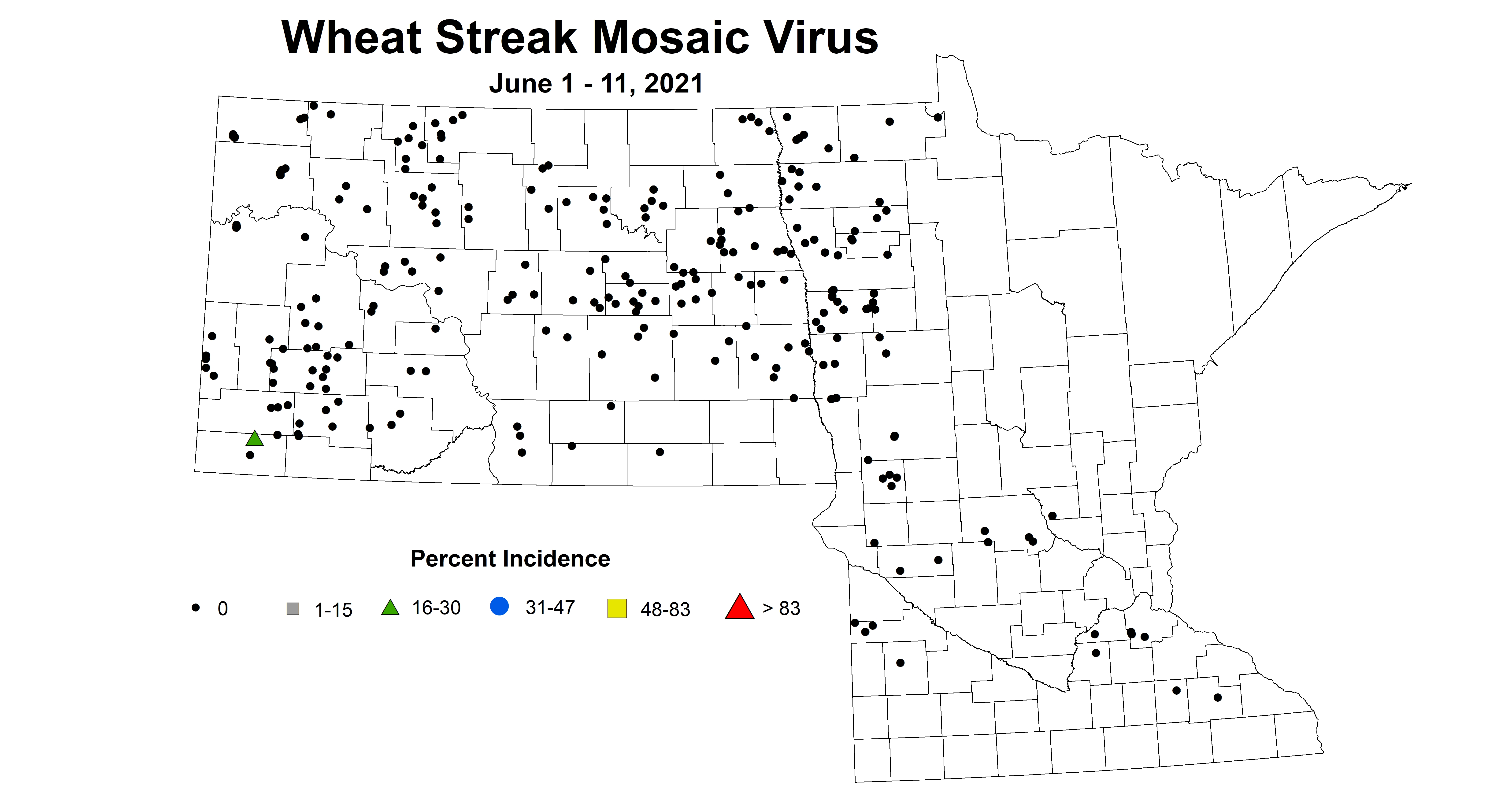 wheatStreakMosaicVirus6.1 6.11