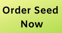 Order seed now
