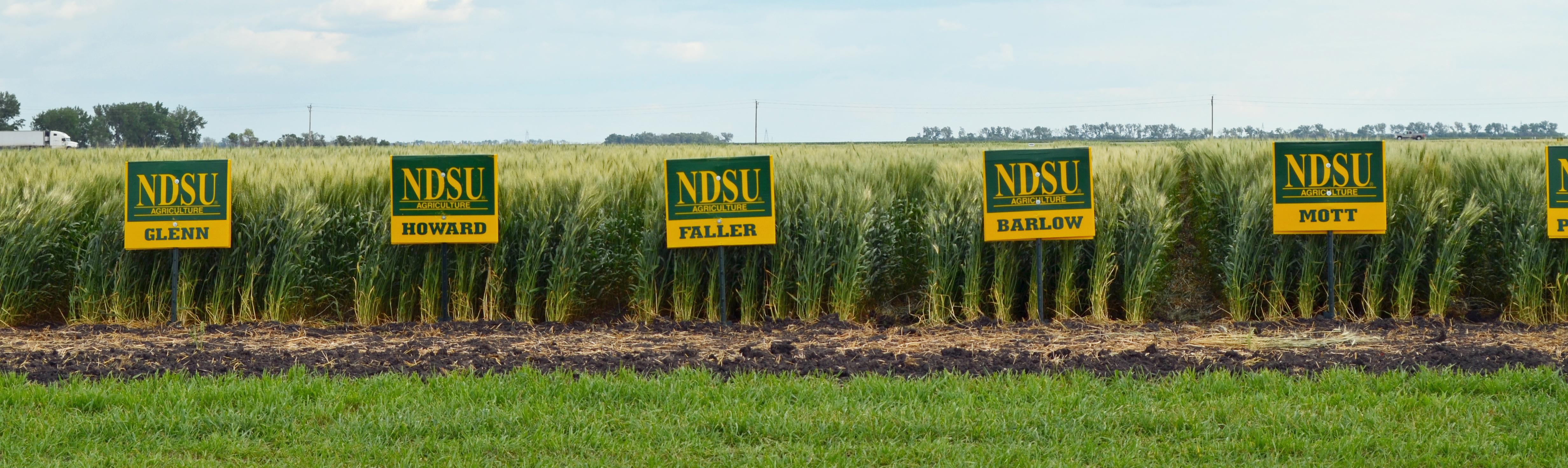 Varieties in field panoramic crop