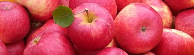 Apple Banner