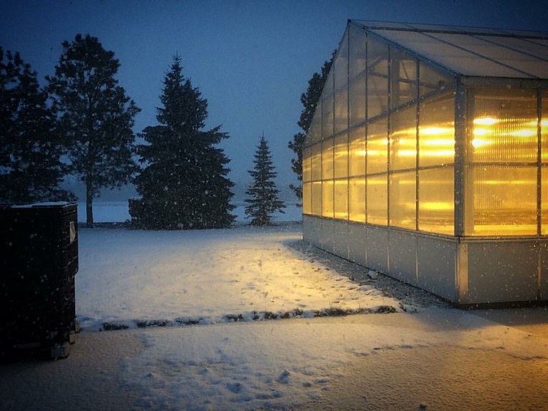 GreenHouseSnow