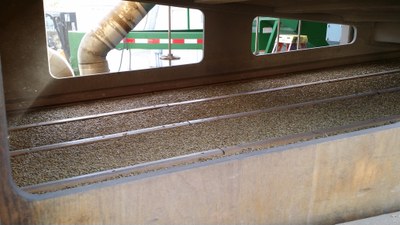 SifterSieve