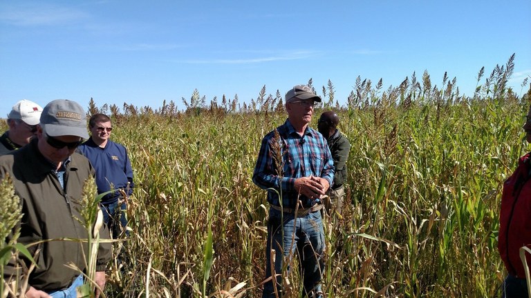 CoverCropViewing