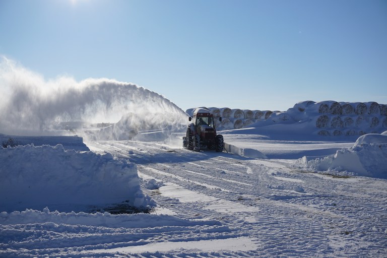 SnowRemoval