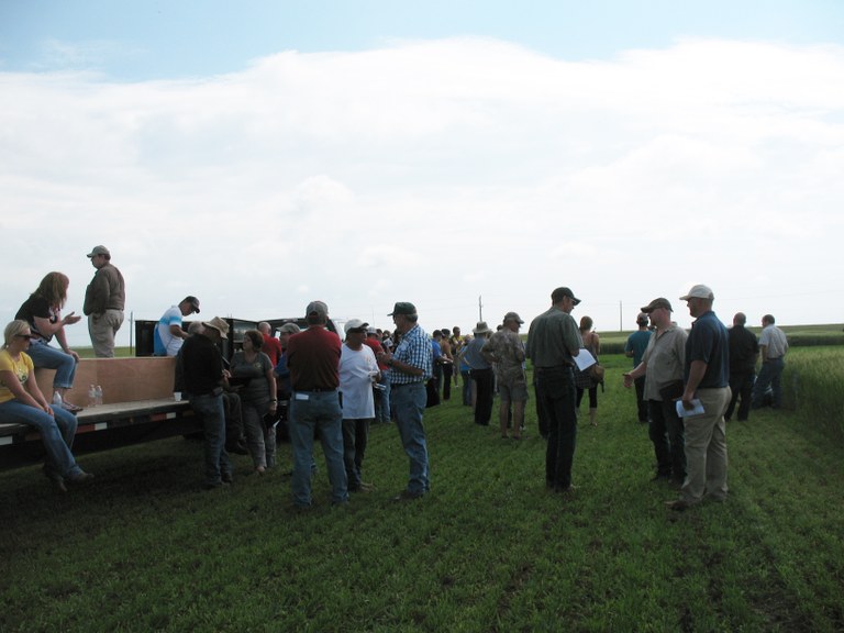 OrganicFD15