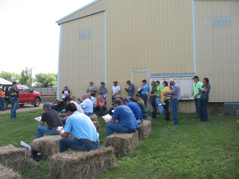 LivestockFD15