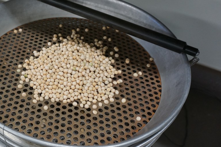 SeedSize