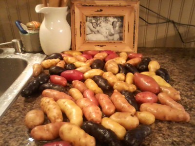Fingerling