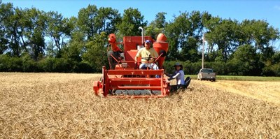 HarvesterDazey