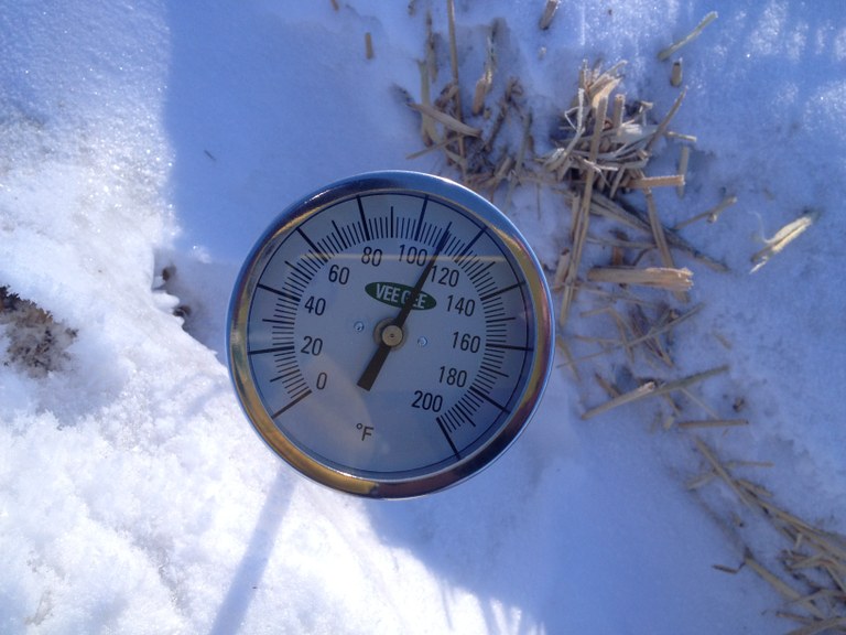 WinterTemp