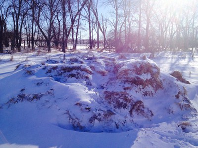 WinterPile