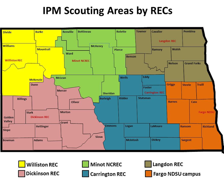 IPMScouts
