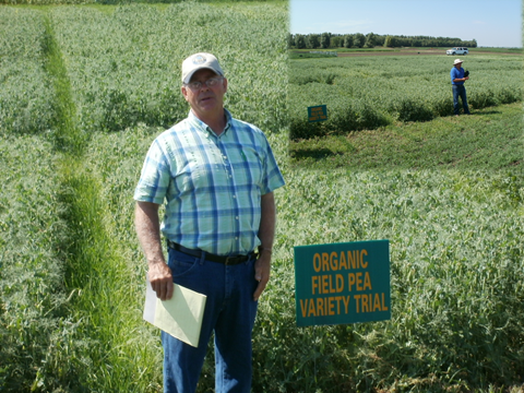 OrganicFieldPea