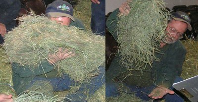 SensoryForage