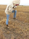 SoilSampling