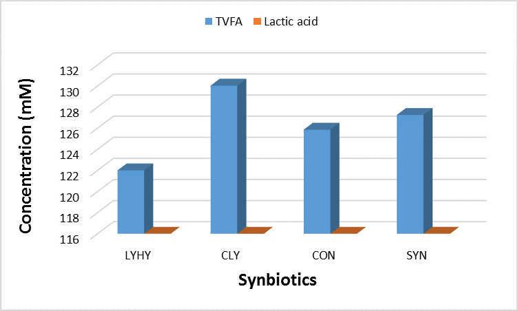 SynFig2
