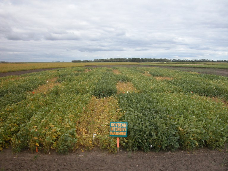 SoybeanTrial