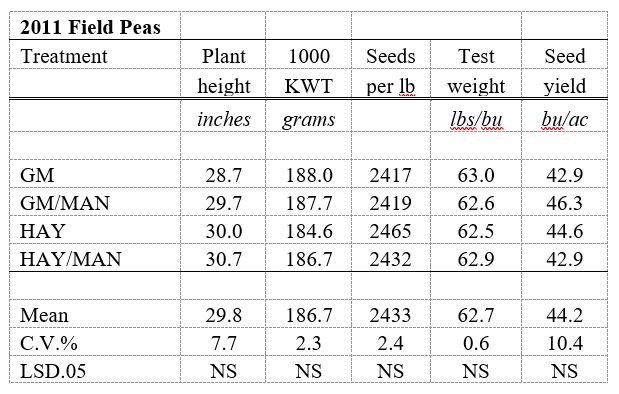 2011 Field Pea after cover crop