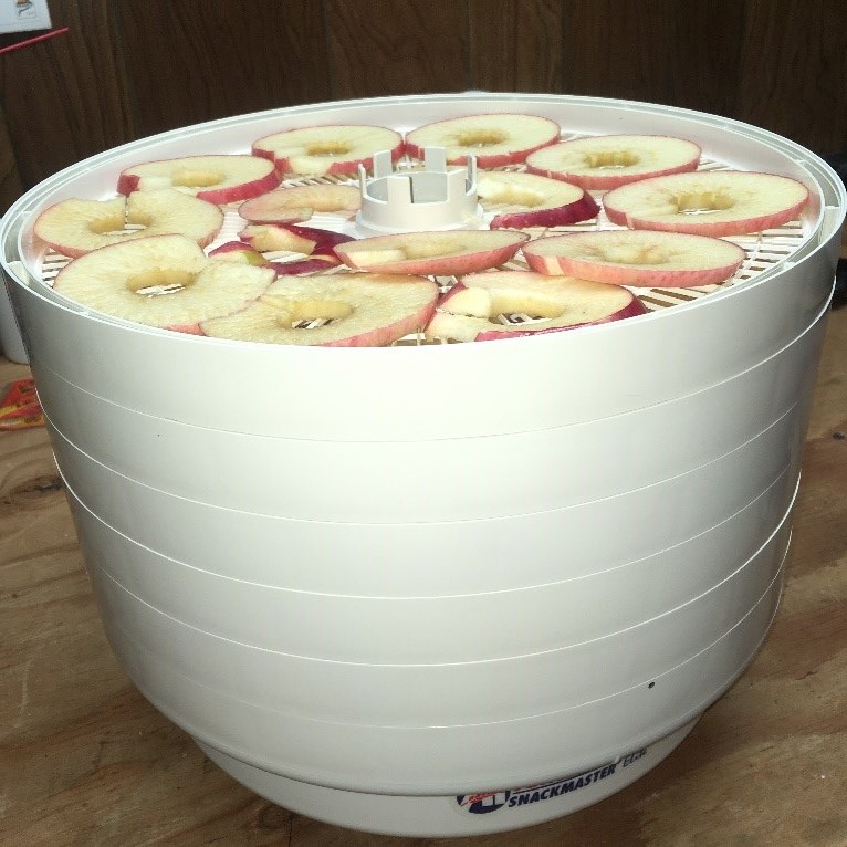 Zestar! apple rings in an electric dehydrtor
