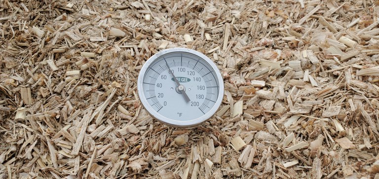 Corn silage with temperature probe