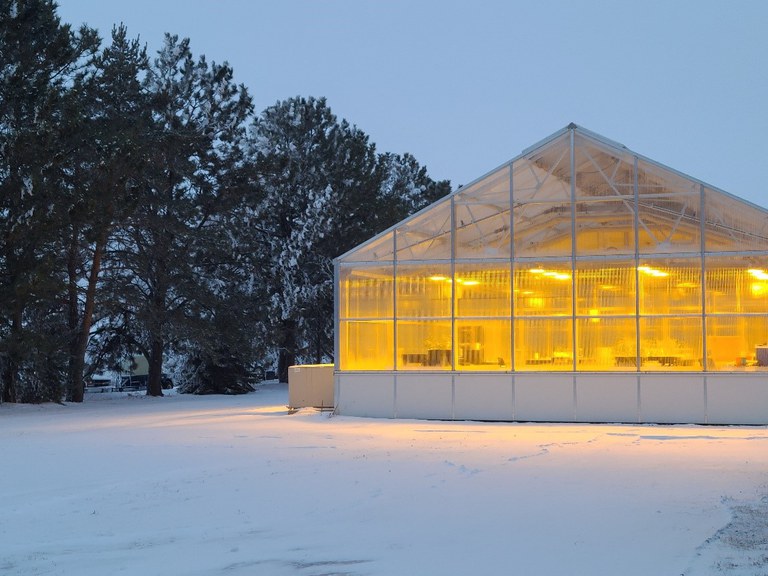 Greenhouse in winter