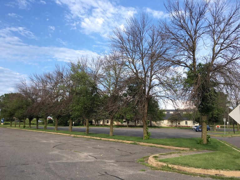Fort Snelling Median