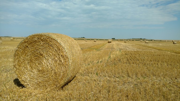 StrawBale