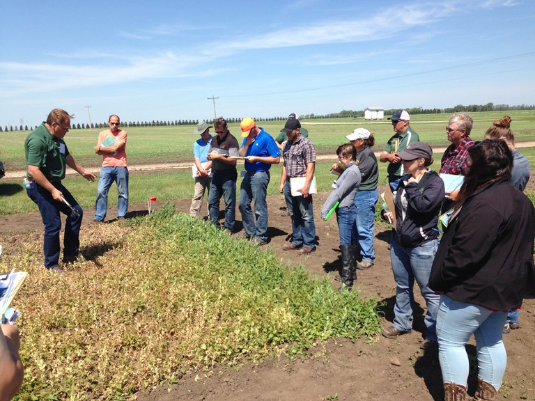 Crop Management Field School participants receive hands-on instruction