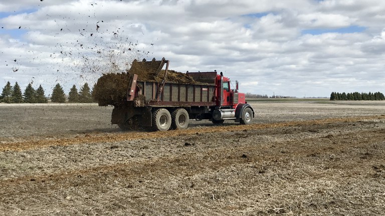 Spreading manure on harvested fields at the NDSU Carrington REC
