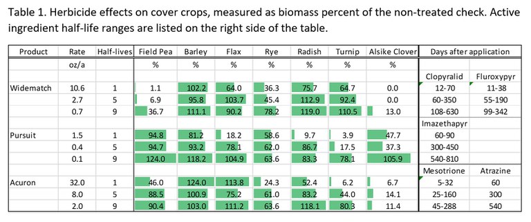 Herbicide effects on cover crops