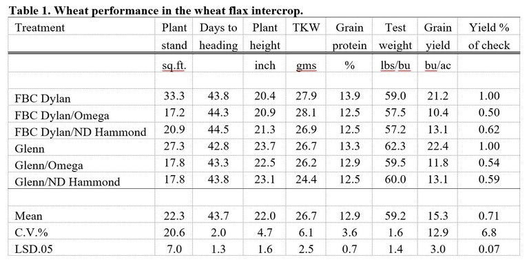 Wheat performance in wheat flax intercrop