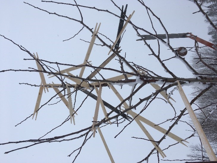 Small lathes reinforce spacing between branches.