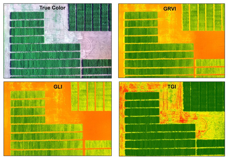 True color image compared to three other indices.