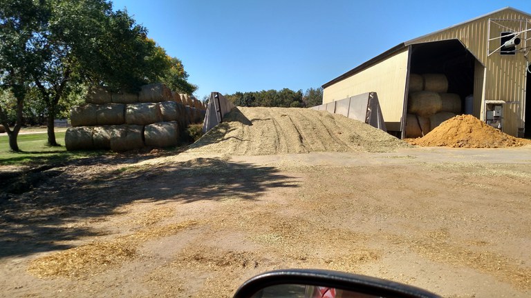 Corn silage pile