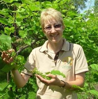 Kathy Wiederholt is a CREC fruit project manager.