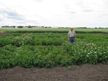 Steve Zwinger is a CREC research specialist.