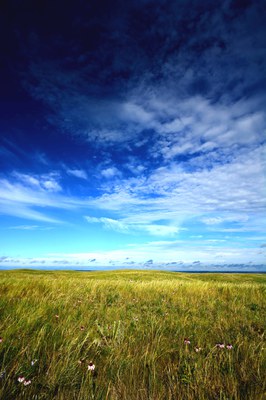 Prairie by Rick Bohn