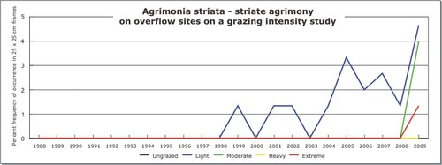 Agrimonia striata - striate agrimony