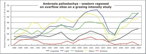 Ambrosia psilostachya - western ragweed