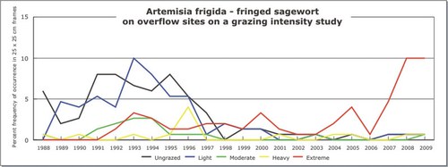 Artemisia frigida - fringed sagewort