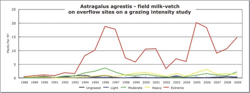 Astragalus agrestis - field milk-vetch