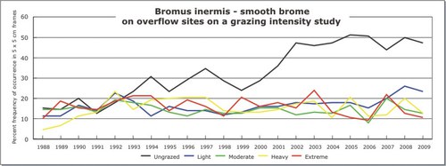 Bromus inermis - smooth brome