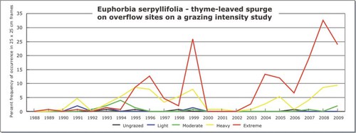 Euphorbia serpyllifolia - thyme-leaved spurge