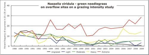 Nassella viridula - green needlegrass